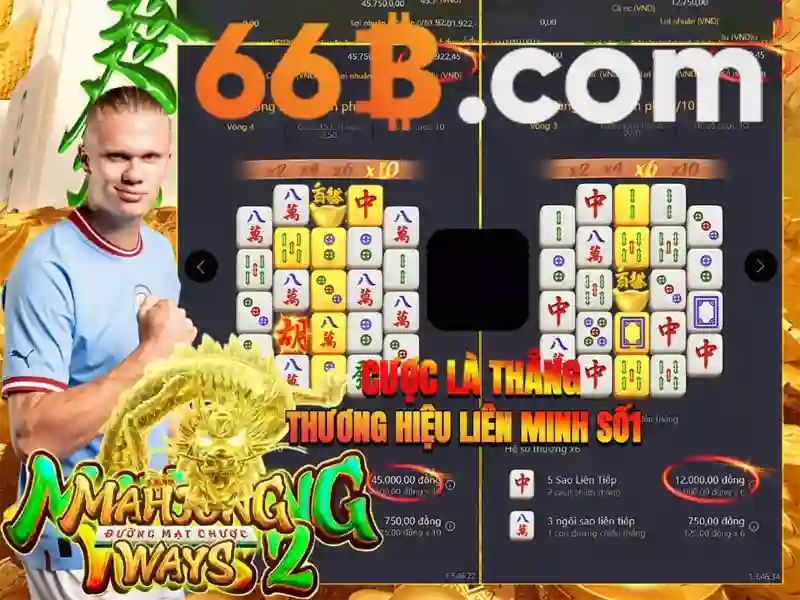  quản lý tài khoản Slot - 66B