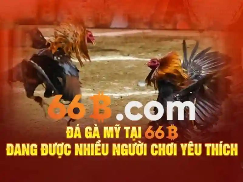 66b: Chiến lược SEO cho trang cá cược online – tối ưu nội dung và uy tín