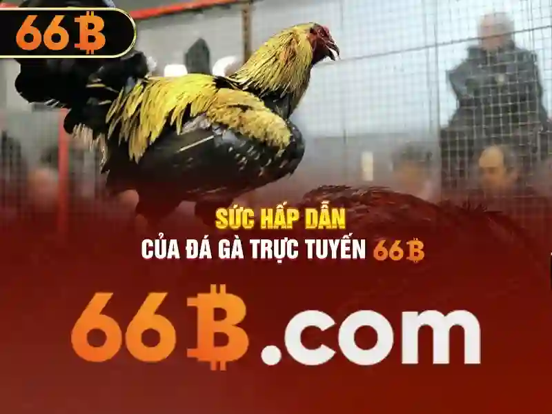 66B – Trải Nghiệm Slot Đỉnh Cao Với 66b Đăng Nhập Tận Hưởng Ưu Đãi 2026 - 66B