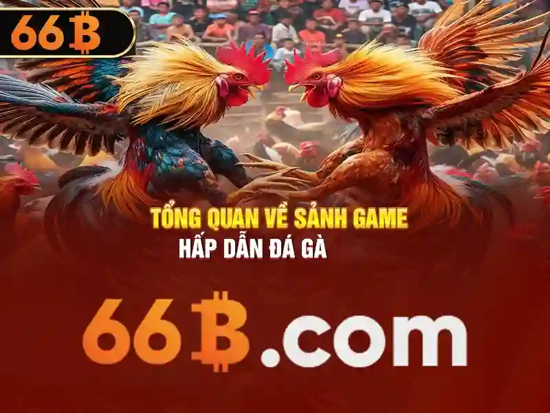  trang chủ 66B - 66B
