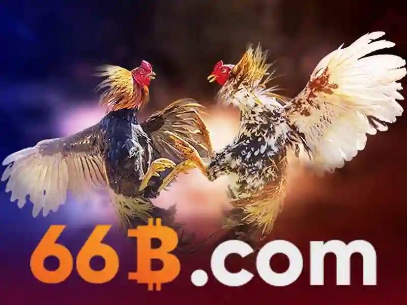 casino - 66B