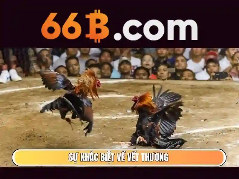  Slot - 66B