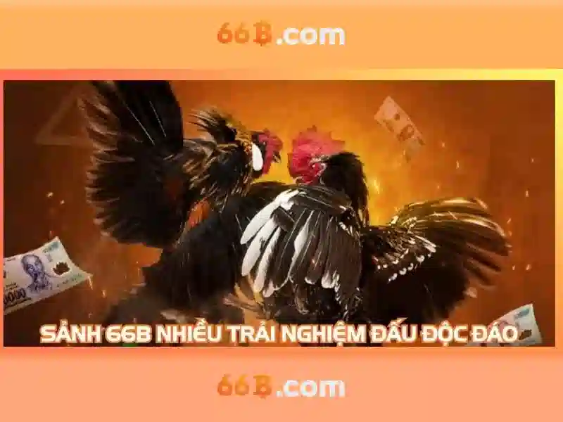  66b - 66B