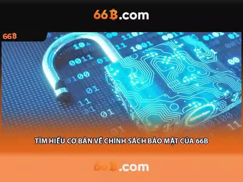  dịch vụ cá cược - 66B