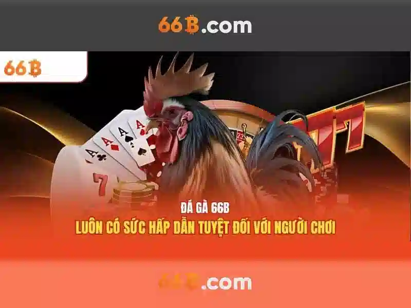  66B chính thức - 66B