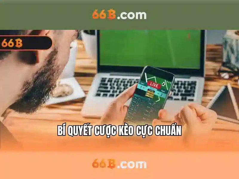  66b chính thức 2026 - 66B