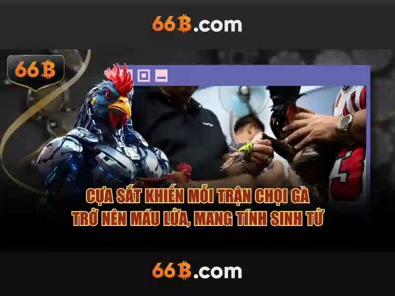 phỏm 66b chính hãng - 66B