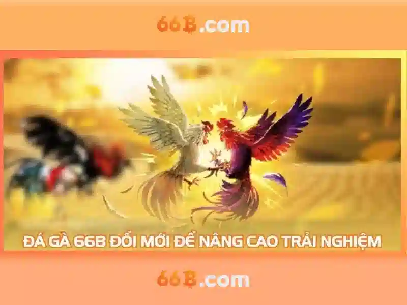  cá cược Slot - 66B