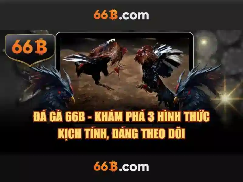 66B - 66B