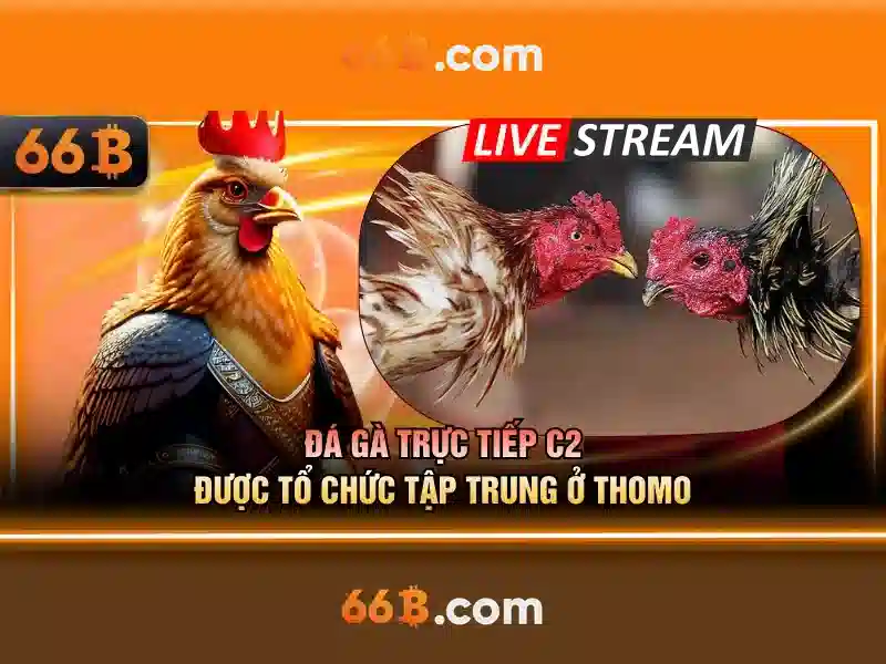  nạp tiền 66B - 66B