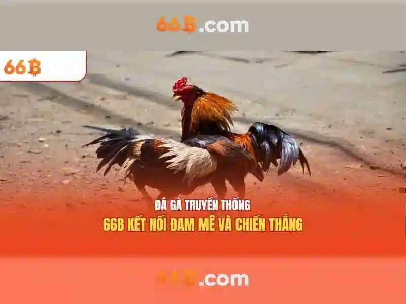  Slot không bị chặn - 66B