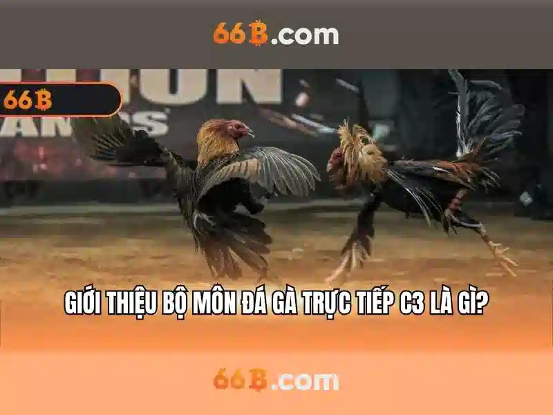  tài khoản Slot - 66B