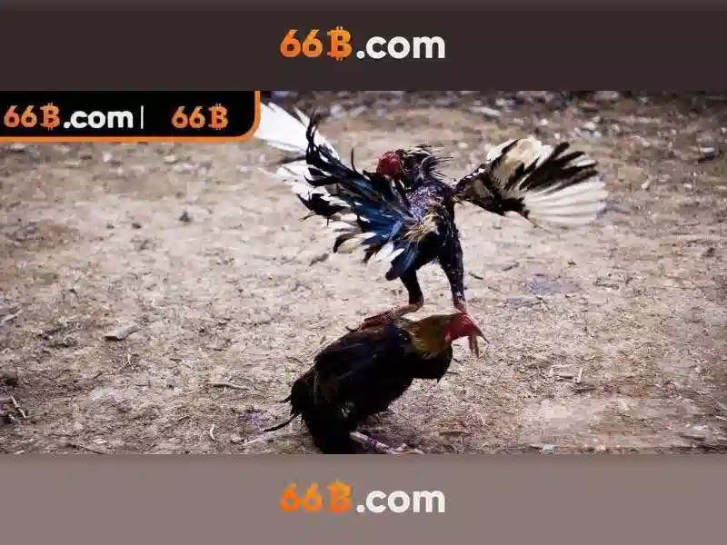 66b: Chiến lược SEO cho trang cá cược online – tối ưu nội dung và uy tín