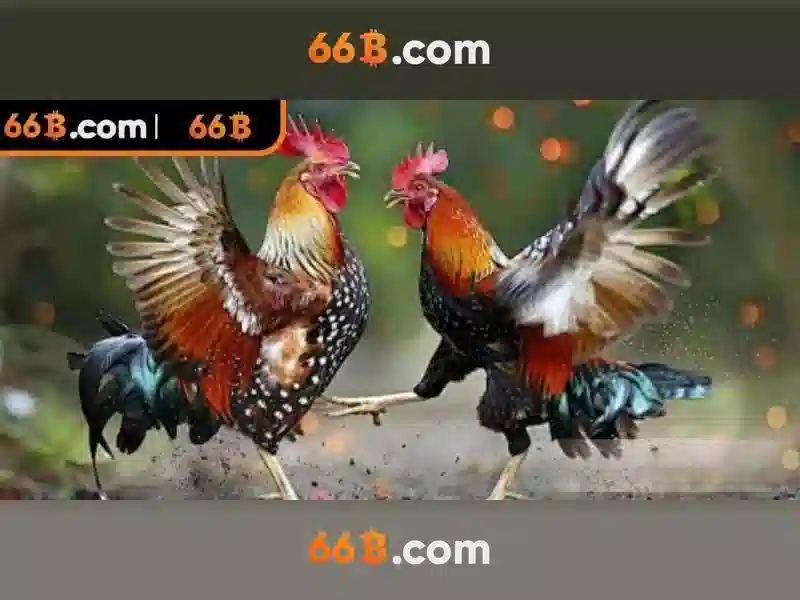  66b app - 66B