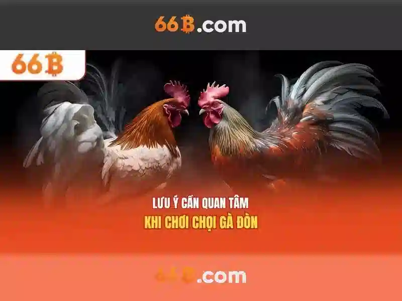  trải nghiệm 66b - 66B