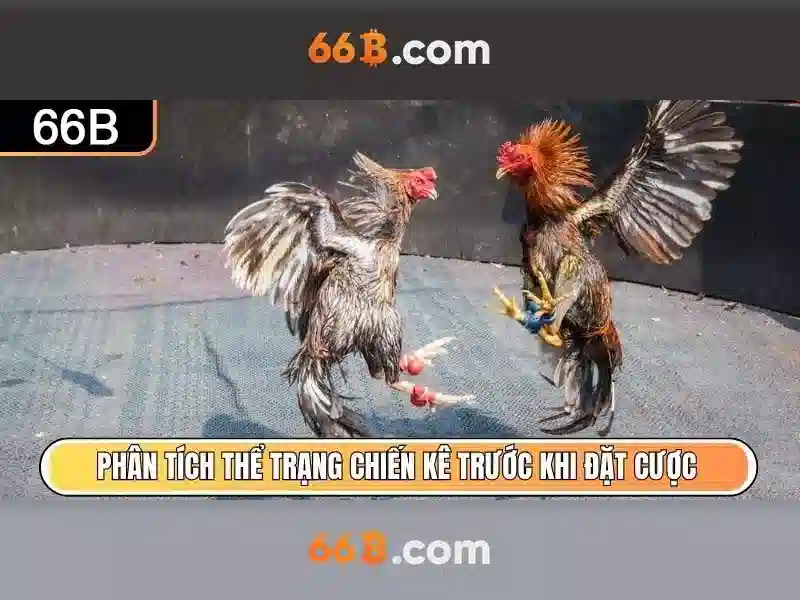  trải nghiệm chơi game - 66B