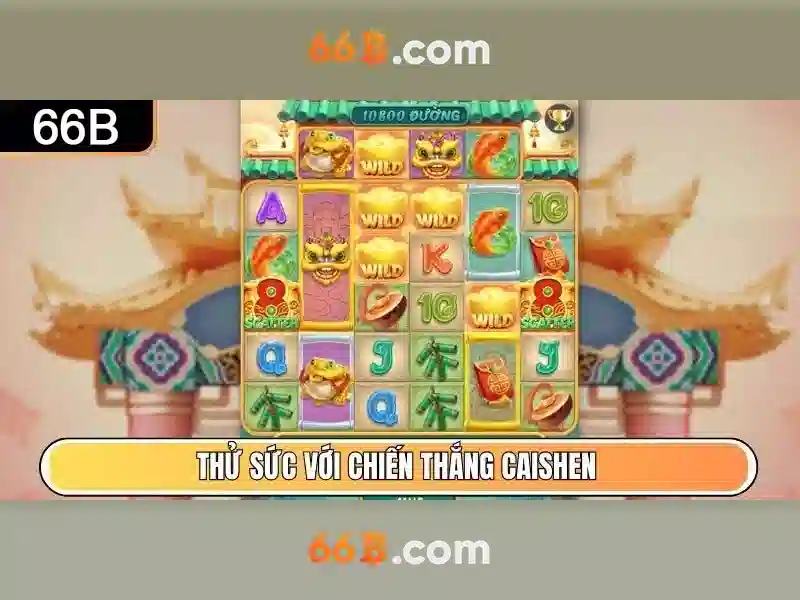  hoàn trả cược - 66B