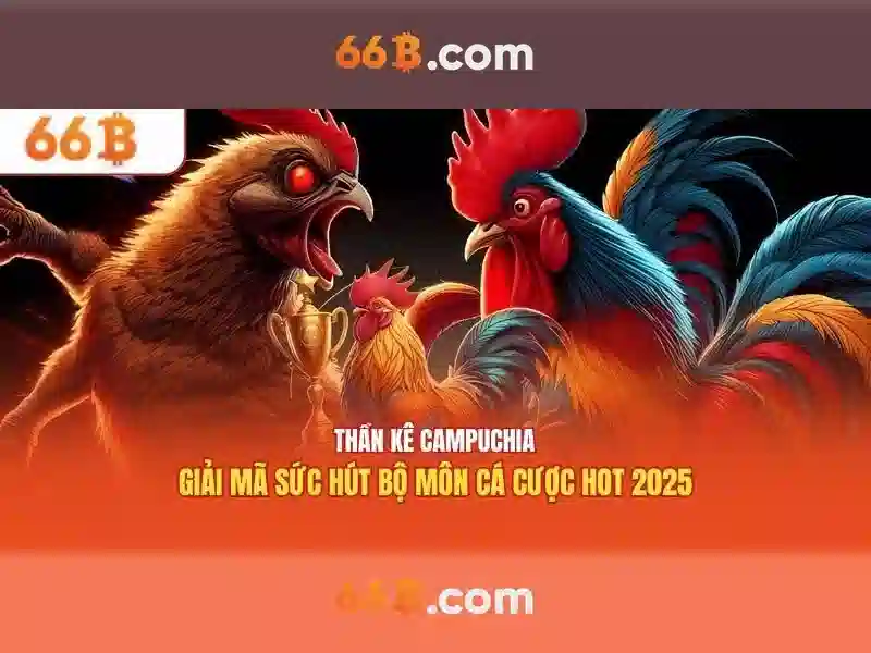 66b: Chiến lược SEO cho trang cá cược online – tối ưu nội dung và uy tín