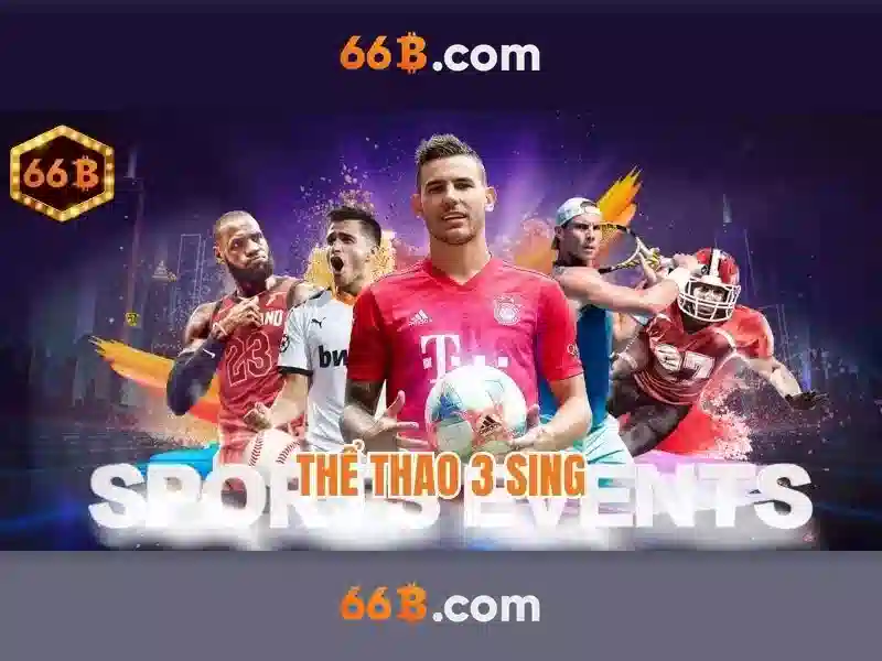 tối ưu SEO 66B - 66B