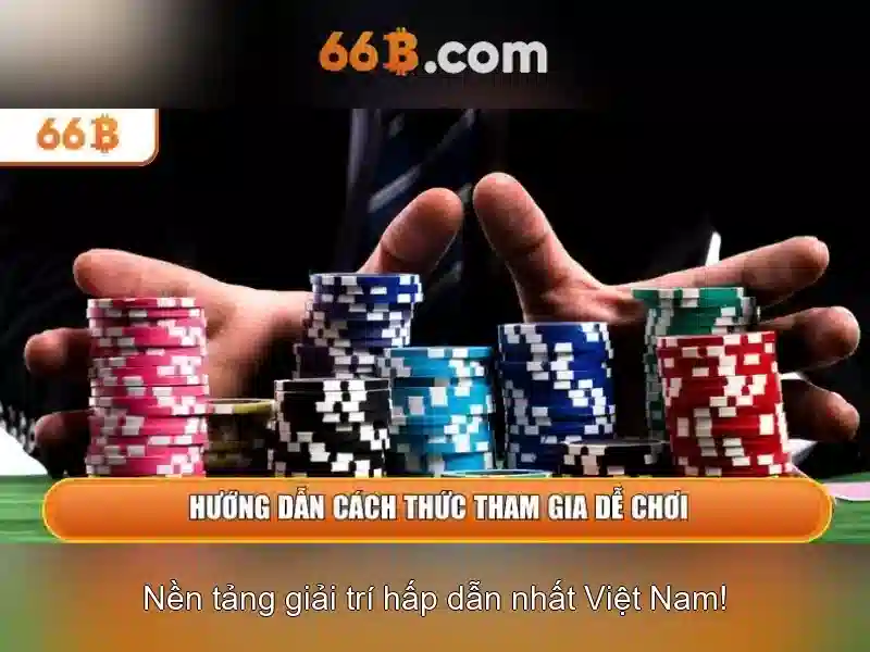  trải nghiệm cá cược - 66B