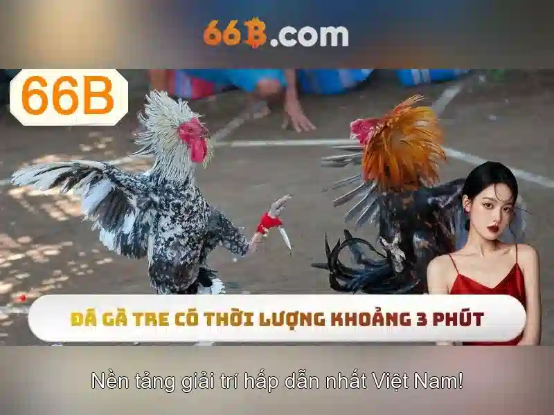 66B – Ứng dụng Slot 66B – Trải nghiệm trò chơi Slot đỉnh cao 2026 - 66B