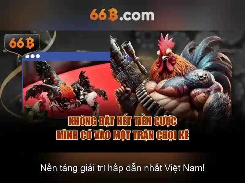 66b bị chặn không lo - 66B
