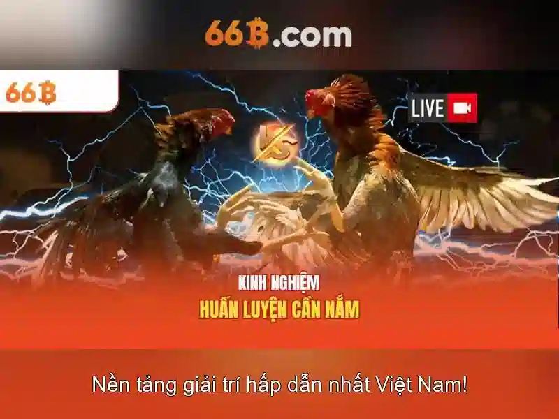 thưởng Slot - 66B