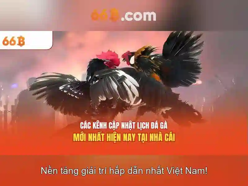 lô đề online - 66B