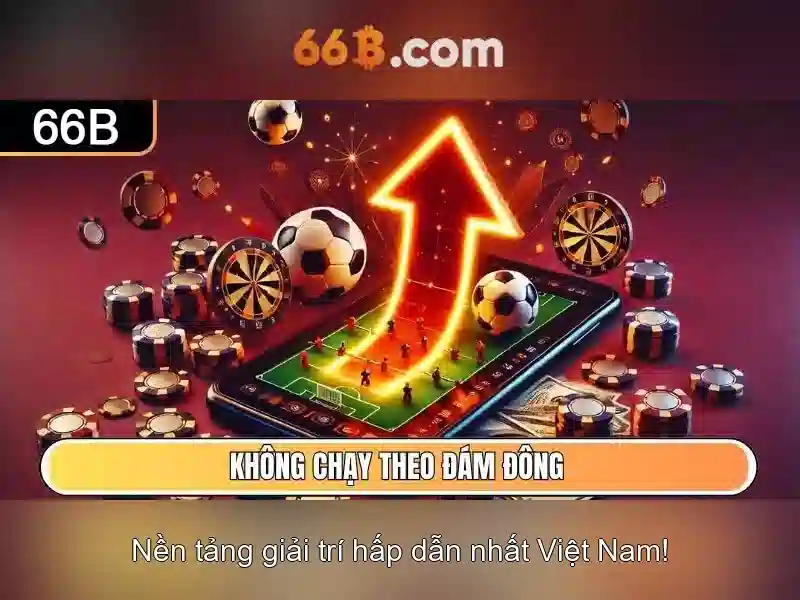  dịch vụ khách hàng 66b - 66B