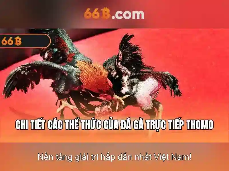Code 66B – Trải Nghiệm Slot Đỉnh Cao Với Ưu Đãi Đặc Biệt 2026 - 66B