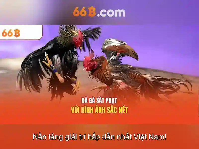 66B - Trang Chủ Đăng Ký & Live App 66B.com Lì Xì +133K - 66B