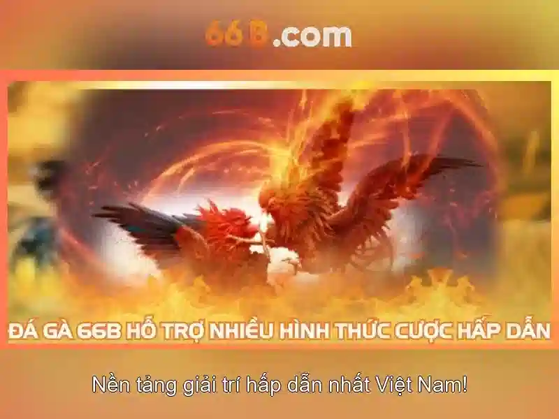  trang chủ 66B - 66B