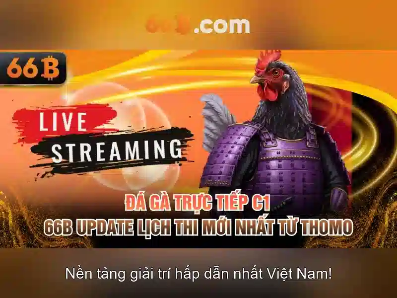  đánh giá nhà cái 66b - 66B