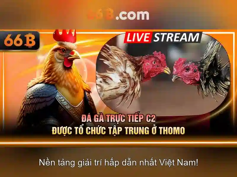 66B – Link Dự Phòng 66B Chất Lượng Cao, Trải Nghiệm Slot Tối Ưu 2026 - 66B