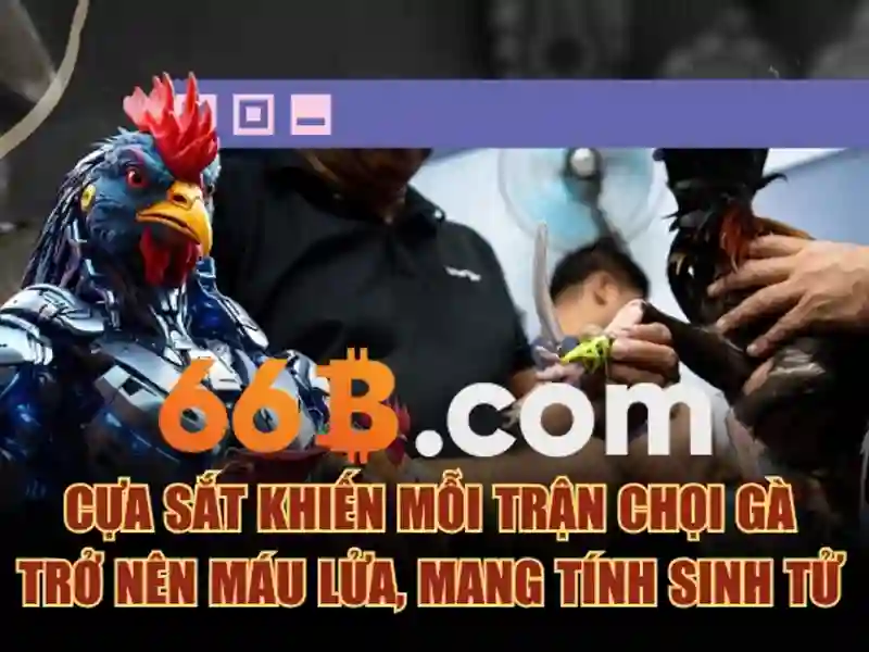 nghĩa vụ - 66B