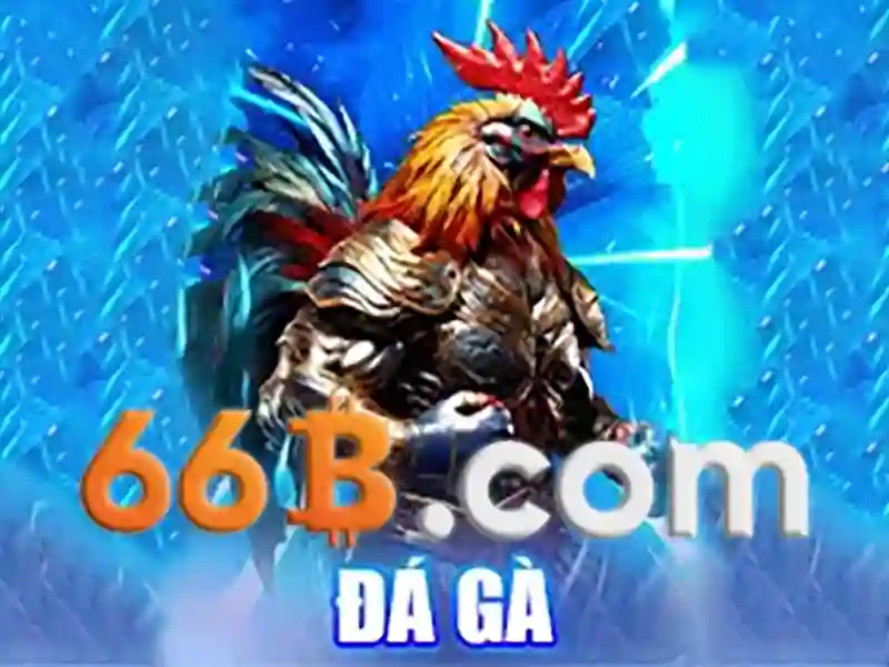  66b tài khoản - 66B