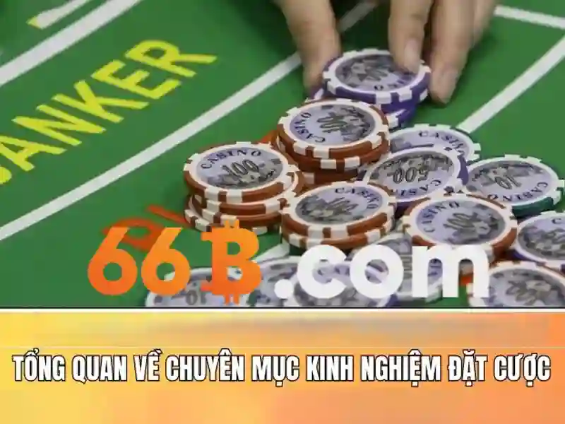 66b free chip - 66B
