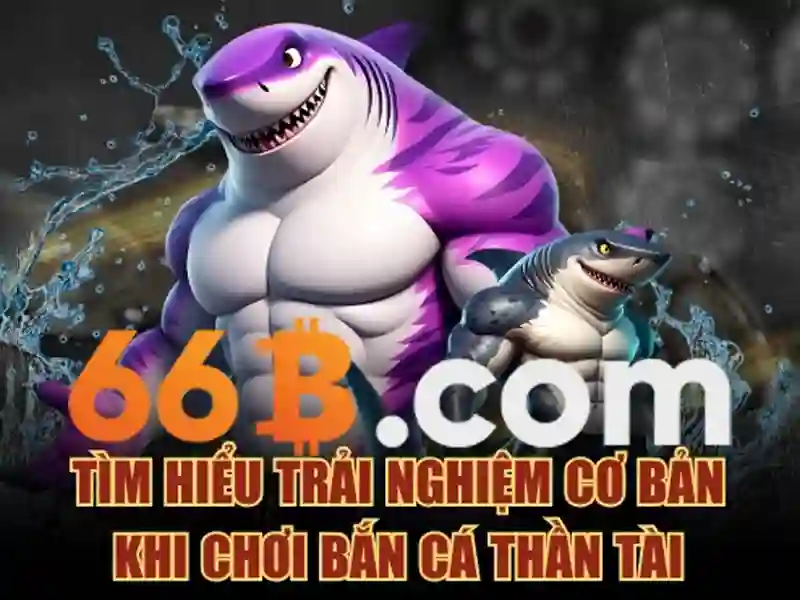  66b - 66B