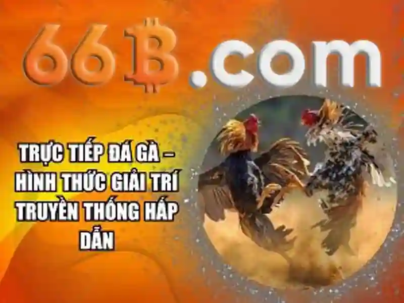 66B - Trải Nghiệm Cược Trực Tuyến Thú Vị Với Ưu Đãi Tiến Lên 66B 2026 - 66B