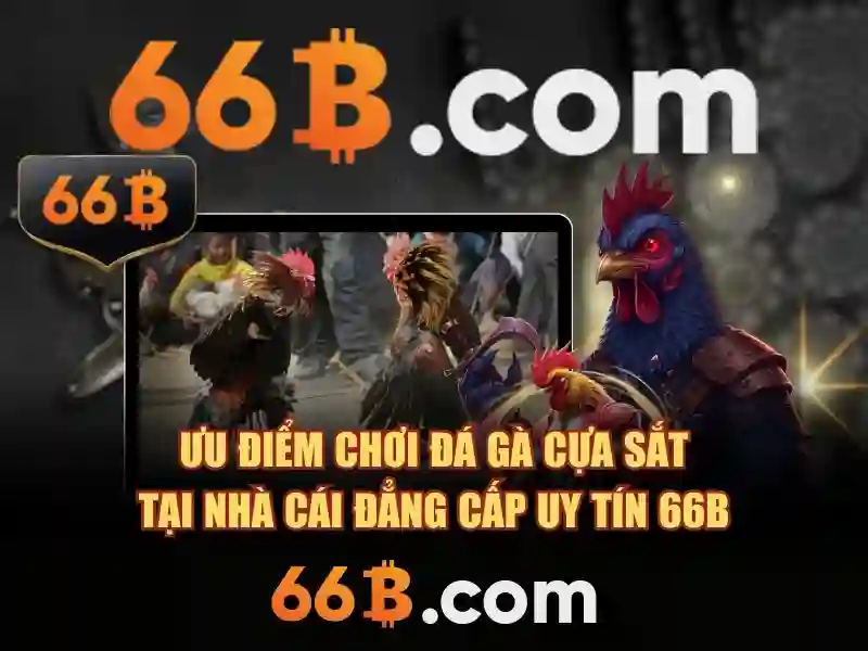  66B bị chặn - 66B