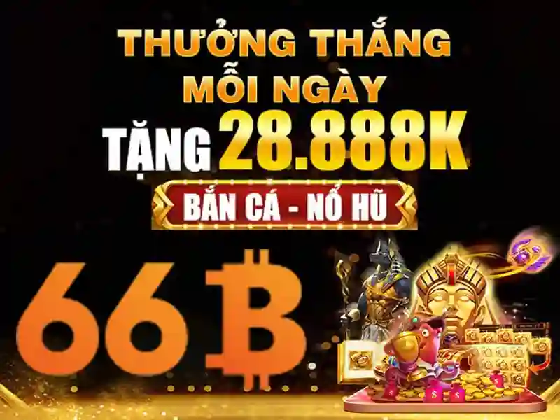  hướng dẫn đăng ký 66B - 66B