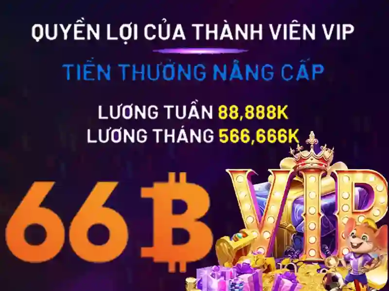 Giấy Phép Hoạt Động 66B | Điều Kiện Cấp Phép Cho 66B Mới - 66B